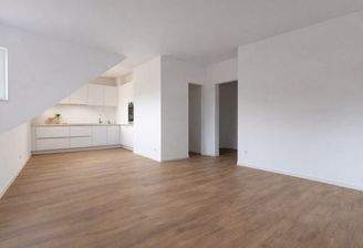 Koch-/Wohnbereich (Visualisierung)