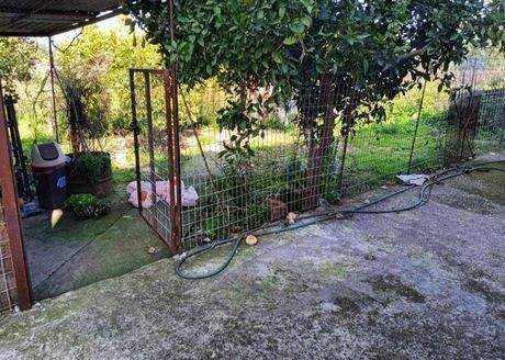 Kreta, Chani Alexandrou: Gebäude mit Wohnung und Lager zum Verkauf