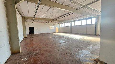 Siebeldingen Halle, Siebeldingen Hallenfläche