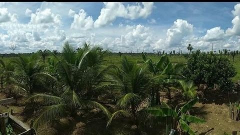 Manaus Grundstücke, Manaus Grundstück kaufen