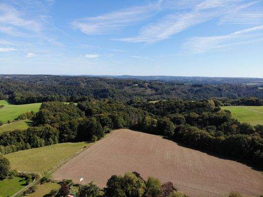Natur in der Umgebung
