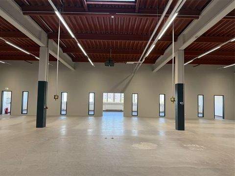 Berlin Halle, Berlin Hallenfläche