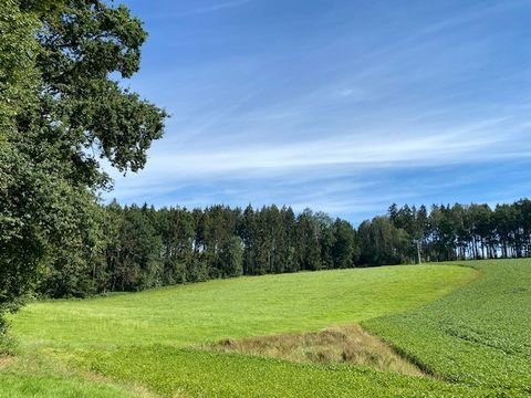 Vilsheim Bauernhöfe, Landwirtschaft, Vilsheim Forstwirtschaft