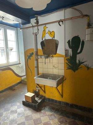 WhatsApp Image 2025-07-26 at 12.23.50 (3).jpeg