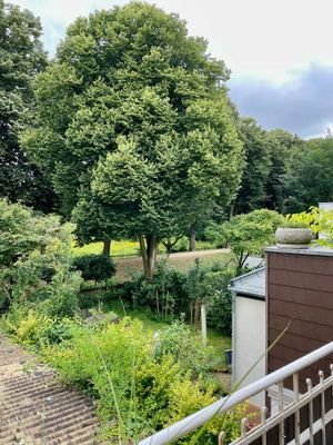 Blick vom Balkon zum Schlosspark
