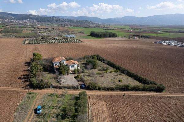 Krinides-Tsiriktsidou 23-02-2024-9.jpg