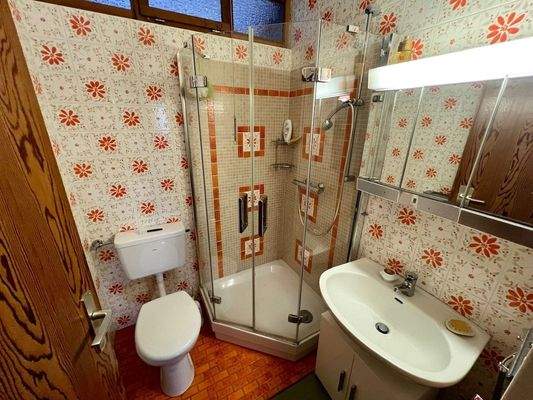 Zweites Bad mit Dusche (EG)