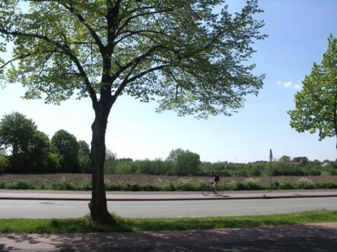 Münster Wohnungen, Münster Wohnung mieten