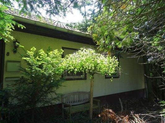 Willingshausen, Westseite