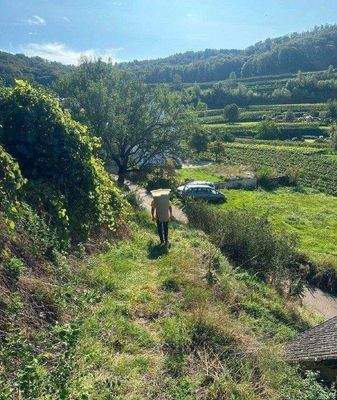 Bildschirmfoto 2025-09-03 um 09.01.35.jpg