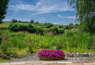 Freiblick