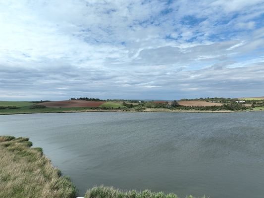 Blick über den See - Nord-Ost