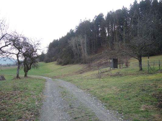 Angrenzender Wald und Wiesen