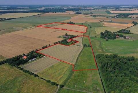 Röbel/Müritz Bauernhöfe, Landwirtschaft, Röbel/Müritz Forstwirtschaft