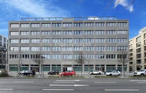 Berlin Ladenlokale, Ladenflächen 