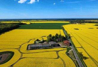Bild 1 - Ansicht Luft aus Süden