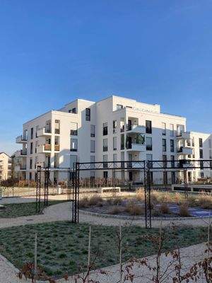 Außenanlage zwischen den Neubauten mit diversen Bepflanzungen und Gehwegen