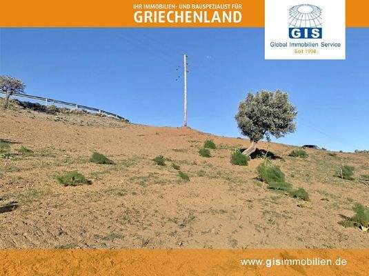 in leichter Hanglange gelegen