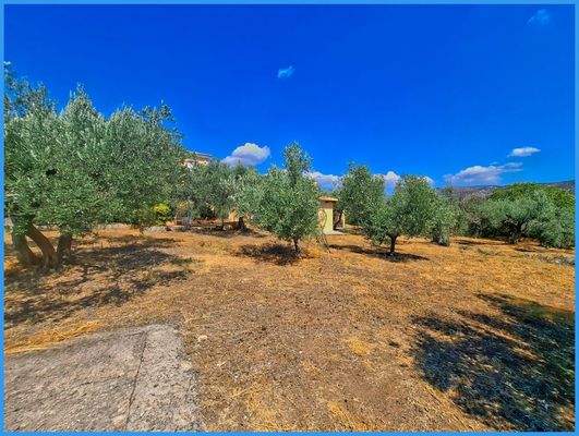 24ae1bb8c6e744b887c56c8f56b9aa11-original