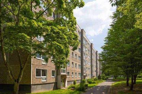 Dresden Wohnungen, Dresden Wohnung mieten