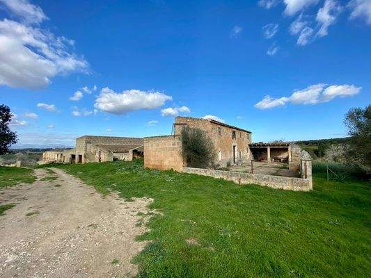 Petra Mallorca Finca zum Verkauf 92124