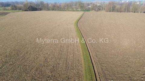 Bayerbach Bauernhöfe, Landwirtschaft, Bayerbach Forstwirtschaft