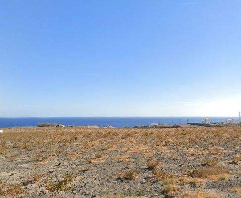 Kykladen Bauernhöfe, Landwirtschaft, Kykladen Forstwirtschaft