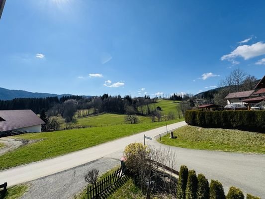 Bild 21