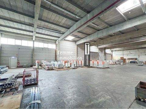 Nürnberg Halle, Nürnberg Hallenfläche