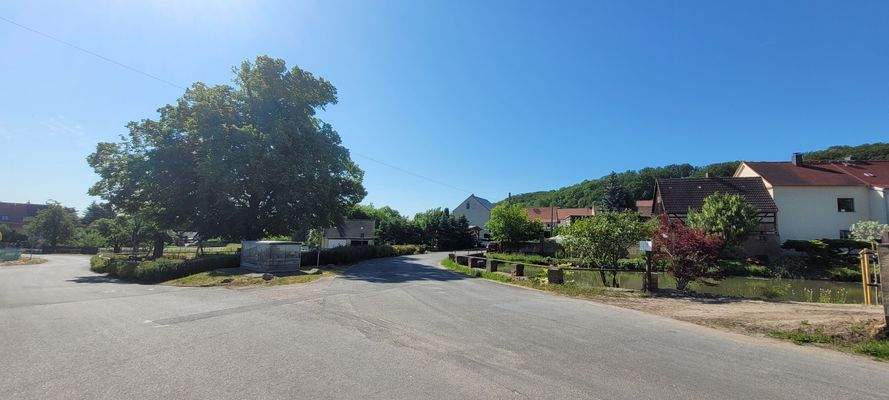 Der Spielplatz mit Seerosenteich.jpg
