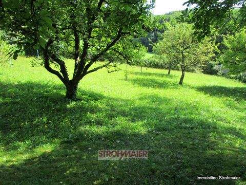 Hersbruck Grundstücke, Hersbruck Grundstück kaufen