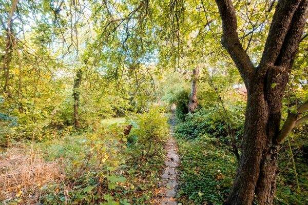 Erwecken Sie dieses Grundstück aus dem Dornröschenschlaf!