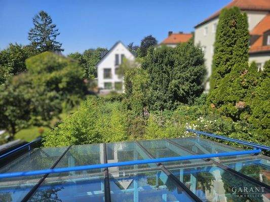 Nachmittags/Abendsonne