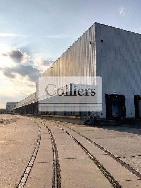 Ludwigsfelde Halle, Ludwigsfelde Hallenfläche