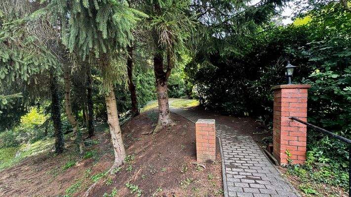 A Grundstück Baumbestand