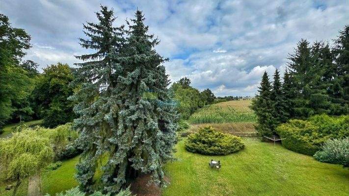 Blick vom Balkon in den Garten