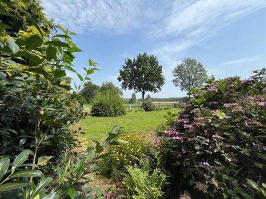 Blick aus dem Garten