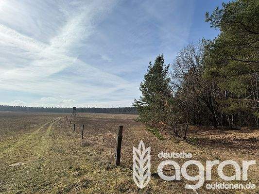 Blick über den Acker 