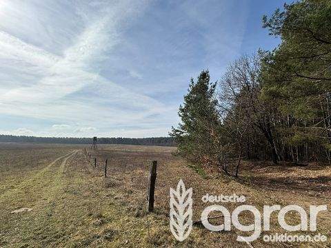 Wittstock/Dosse Bauernhöfe, Landwirtschaft, Wittstock/Dosse Forstwirtschaft