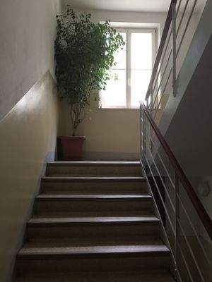 gepflegtes Treppenhaus