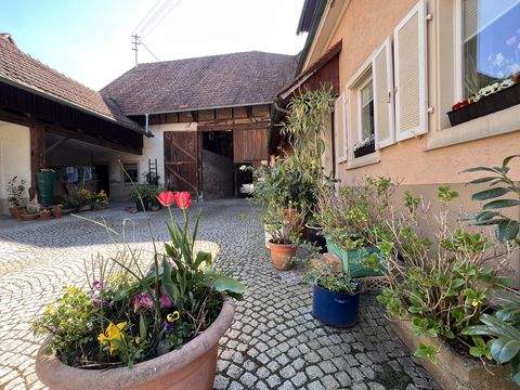 Müllheim Häuser, Müllheim Haus kaufen