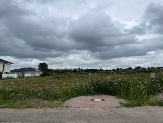 IMG_5809