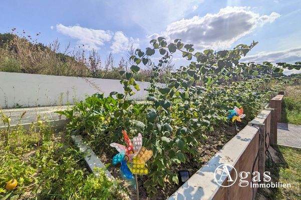 Gemeinschaftshochbeet