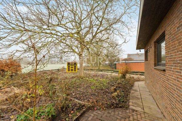 Garten Hinten im Winter