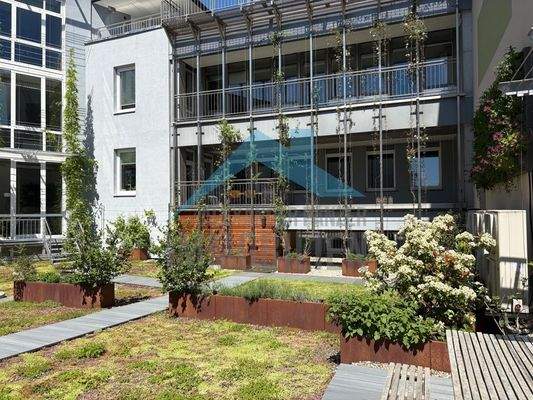 Impressionen Dachgarten