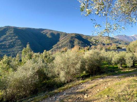 IB951_27 TERRA ITALIA IMMOBILIEN_LIGURIEN_ISOLABON