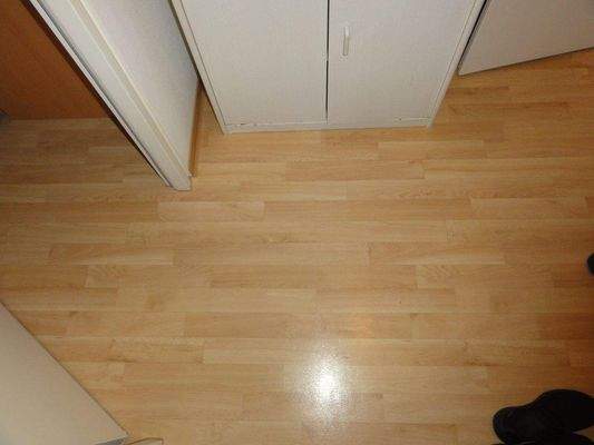 Flur mit Zugang zu WZ, SZ, Bad