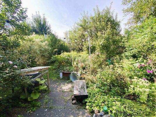 Blick in den Kleingarten