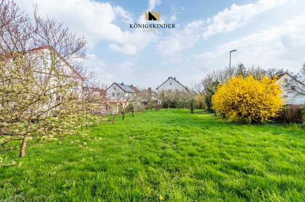 Garten bzw. Baugrundstück