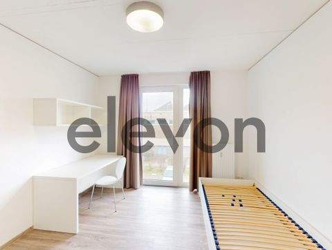 Dieburg Wohnungen, Dieburg Wohnung mieten